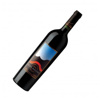 Un francÃ©s haciendo vinos en CuricÃ³
