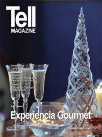 Edici&oacute;n rancagua, diciembre 2010