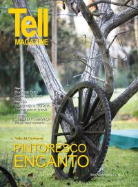 Edici&oacute;n rancagua, junio 2011