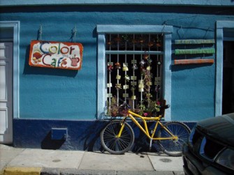 Paseo entre sabores y tendencias