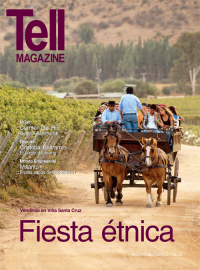 Edici&oacute;n rancagua, abril 2012