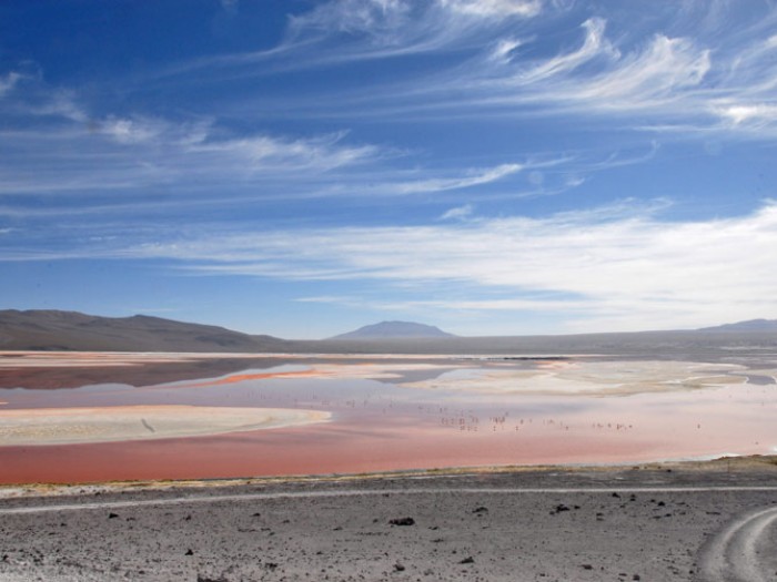 Naturaleza Feroz