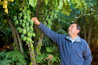 Producto Nacional