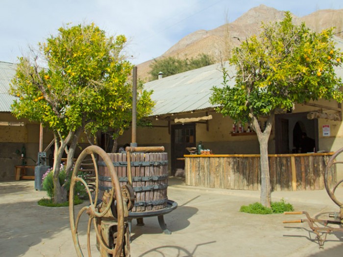 Ruta del Pisco, Valle de Elqui
