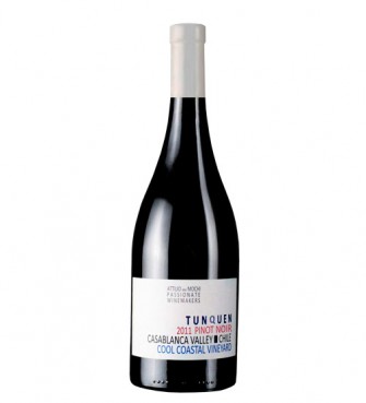 Pinot Noir, el joven de Casablanca
