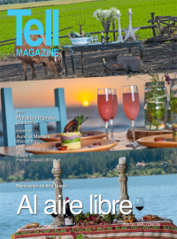 Edici&oacute;n vinadelmar, diciembre 2012