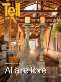 Edici&oacute;n laserena, diciembre 2012