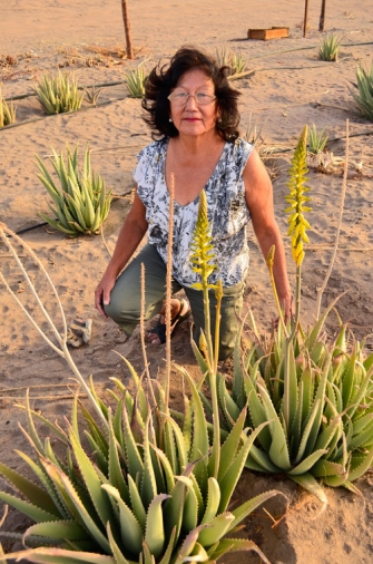 Mundo Aloe Vera
