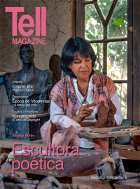 Edici&oacute;n rancagua, abril 2013