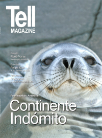 Edici&oacute;n concepcion, junio 2013