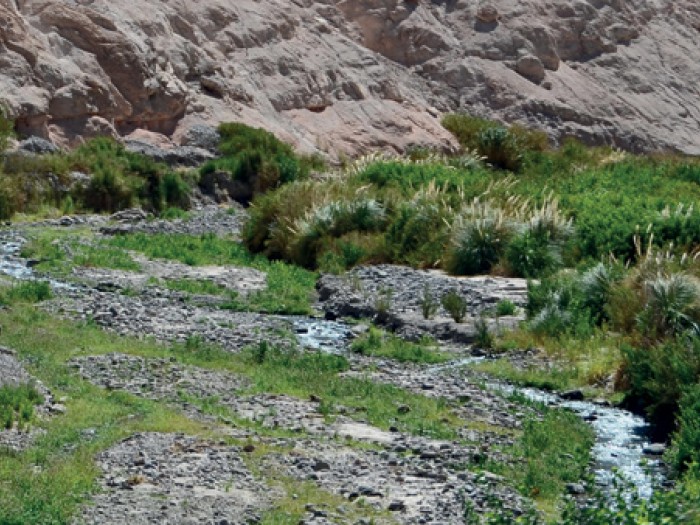 Quebrada Paraíso