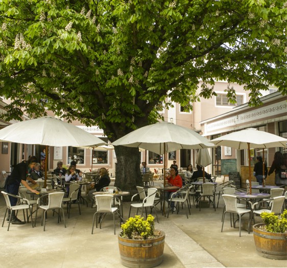 Oasis Cultural