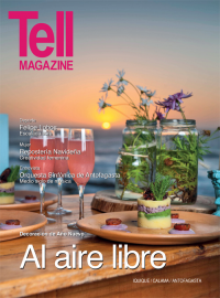 Edici&oacute;n antofagasta, noviembre 2013