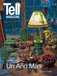 Edici&oacute;n laserena, diciembre 2013