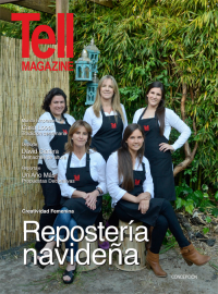 Edici&oacute;n concepcion, diciembre 2013