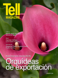 Edici&oacute;n concepcion, enero 2014