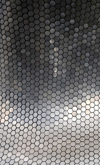 Capítulo 3, ￼Museo Soumaya