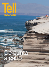 Edici&oacute;n antofagasta, febrero 2014