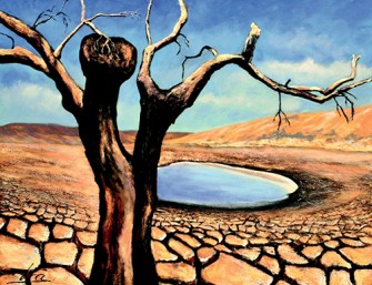 Crisis climÃ¡tica y de gobernanza