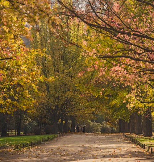 Parque del Salitre