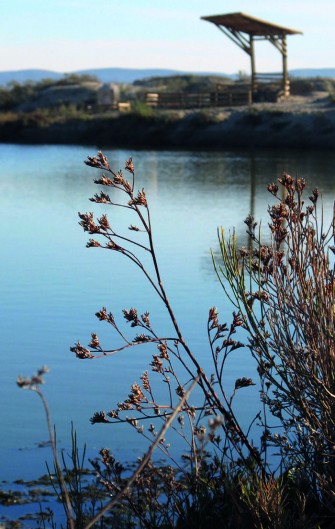 Espejos de agua