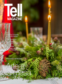 Edici&oacute;n concepcion, diciembre 2014