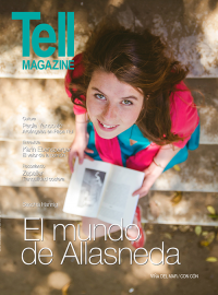 Edici&oacute;n vinadelmar, enero 2015