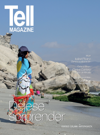 Edici&oacute;n antofagasta, enero 2015