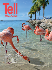 Edici&oacute;n laserena, febrero 2015