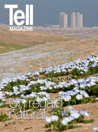 Edici&oacute;n antofagasta, mayo 2015
