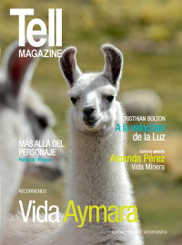 Edici&oacute;n antofagasta, agosto 2015