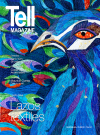 Edici&oacute;n rancagua, mayo 2013