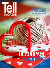 Edici&oacute;n concepcion, diciembre 2015