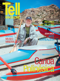 Edici&oacute;n laserena, marzo 2016