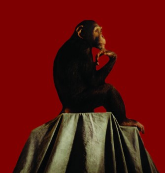 El Mar