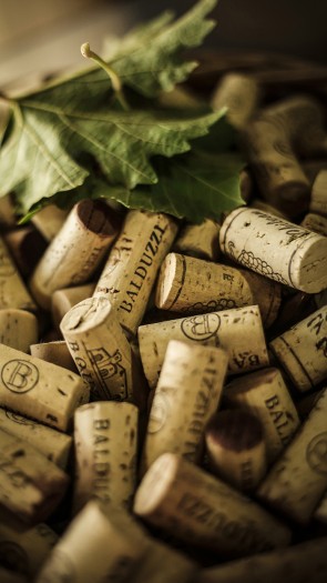 La ruta del vino Recargada