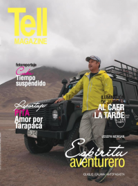 Edici&oacute;n antofagasta, enero 2017