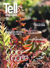 Edici&oacute;n antofagasta, abril 2017