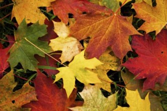 OBRAS DE OTOÃO