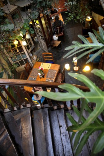 OASIS DE GENIALIDAD