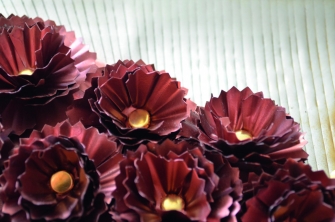 FLORES DEL DESIERTO 
