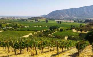 ODA AL CARMÃNÃRE