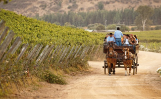 En el corazÃ³n de Colchagua