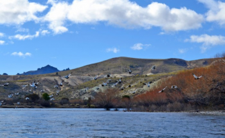 PATAGONIA ARGENTINA