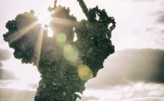 ArcÃ¡ngeles en Rapa Nui